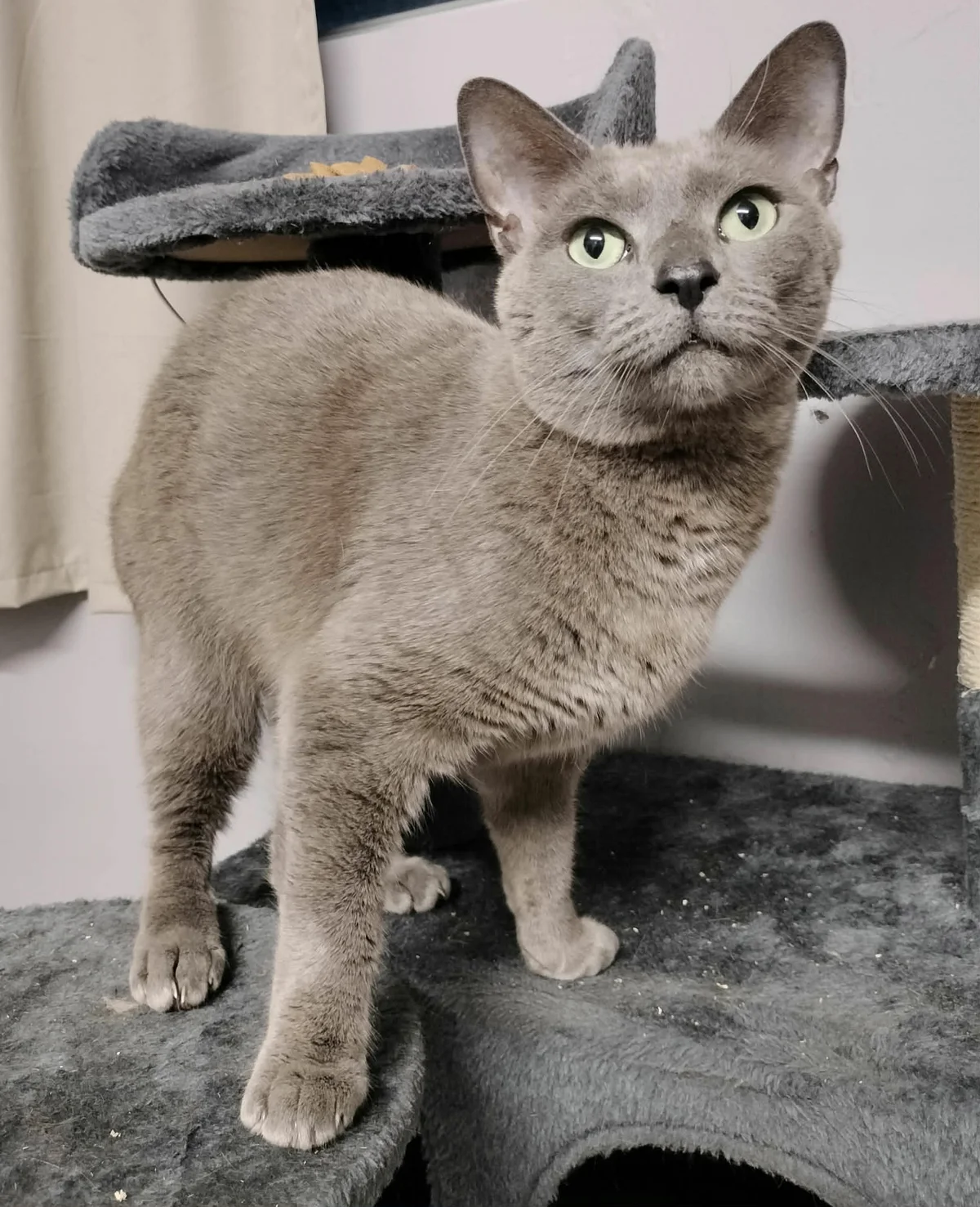 Gallery image: Charlie