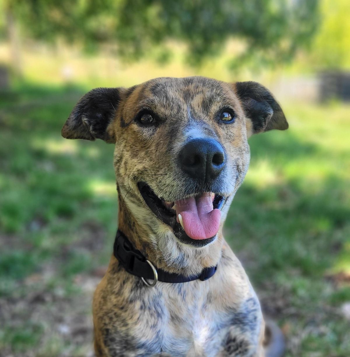 Gallery image: Geezza