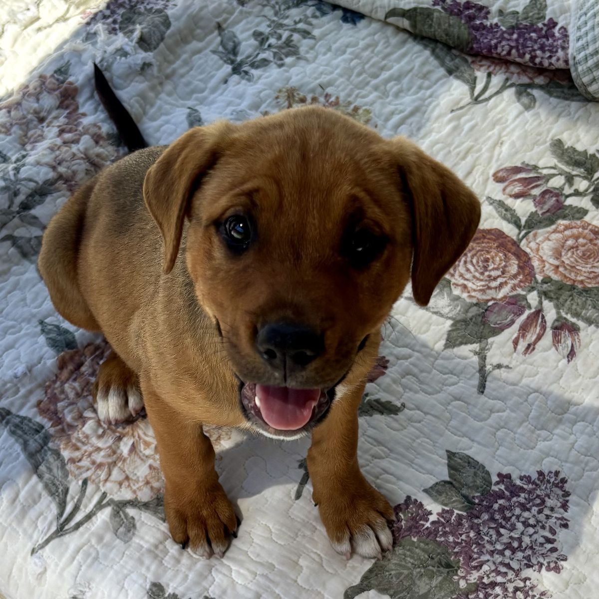 Gallery image: Mei Mei