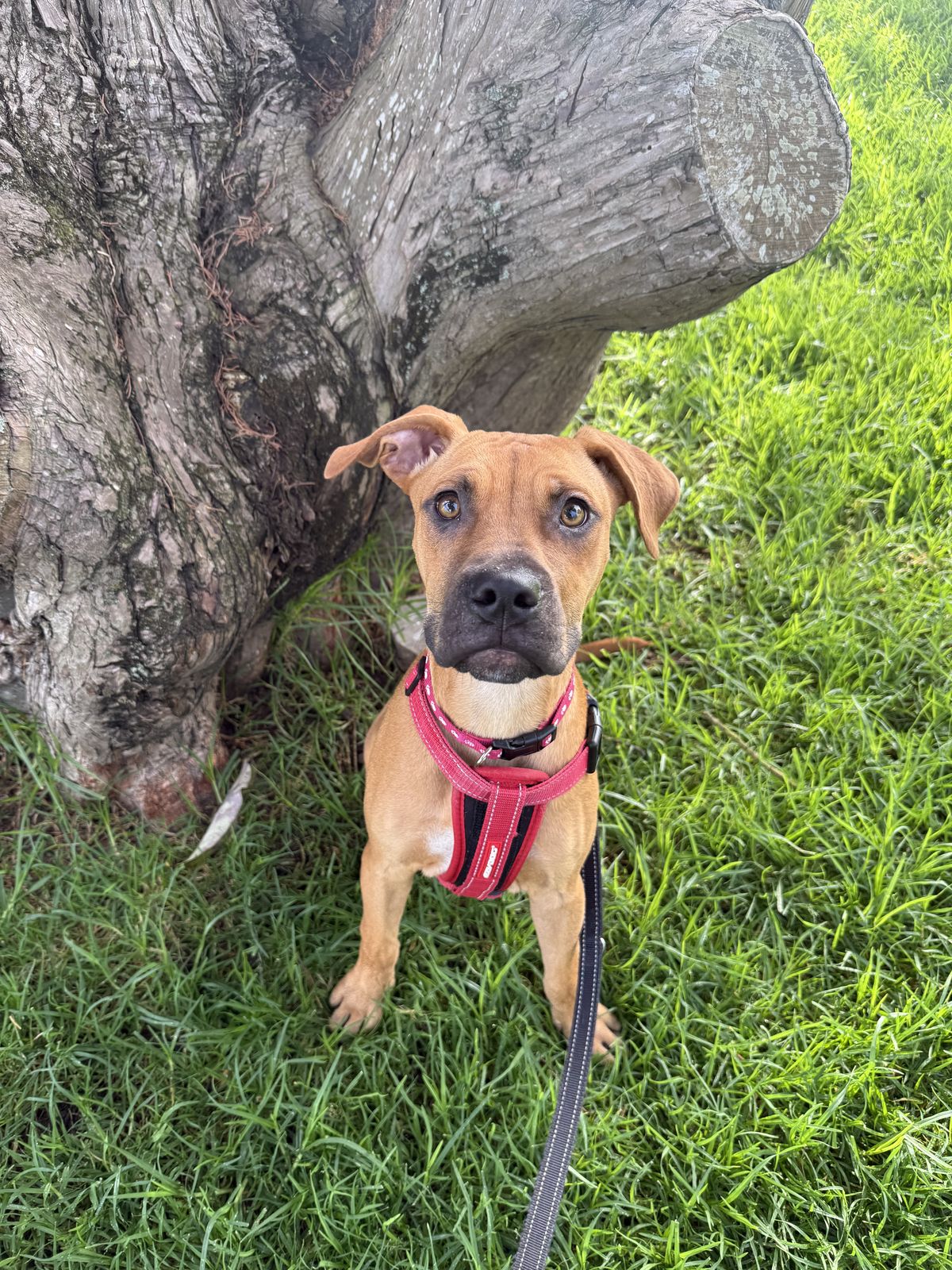 Gallery image: Louise