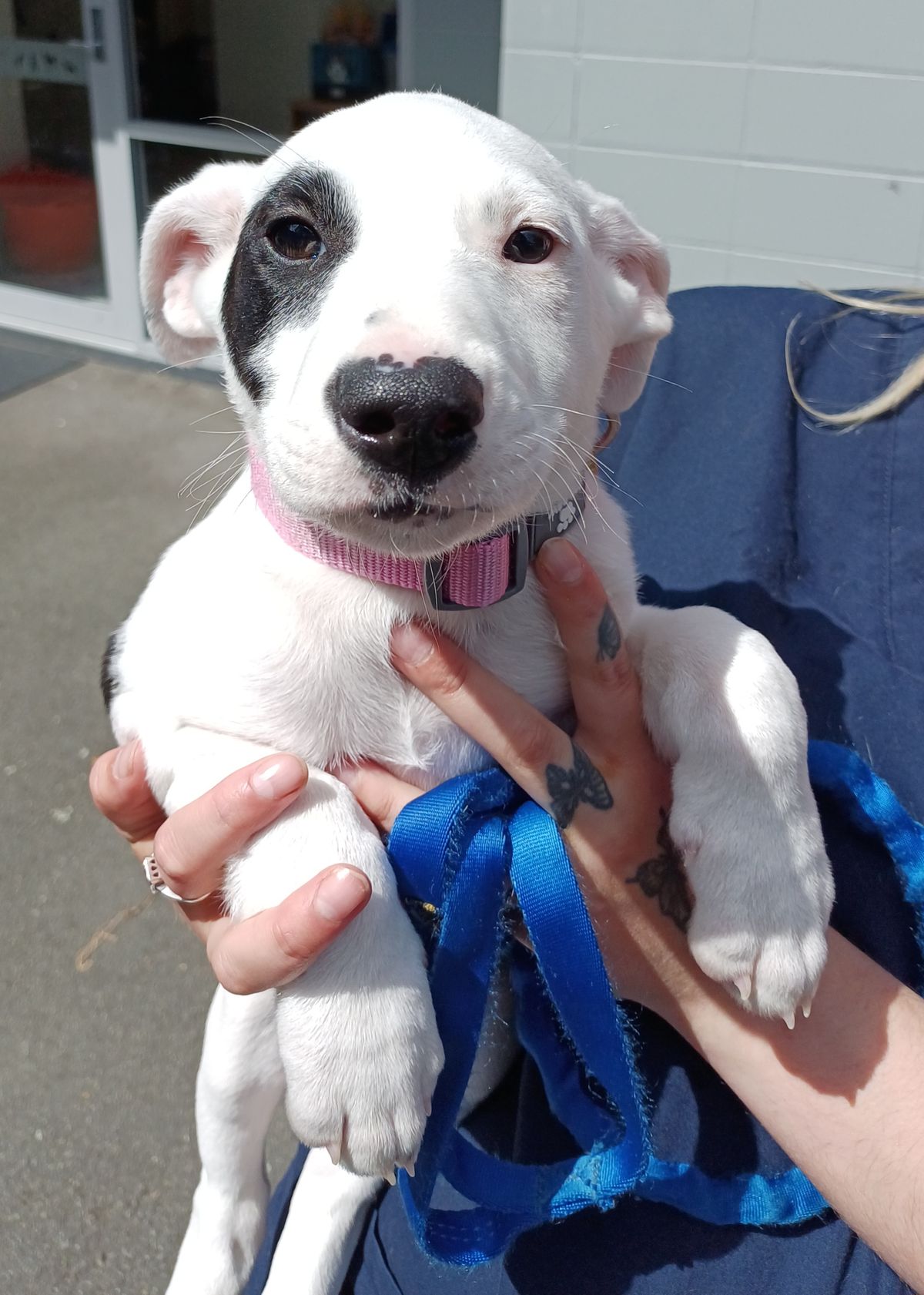 Gallery image: Emmett