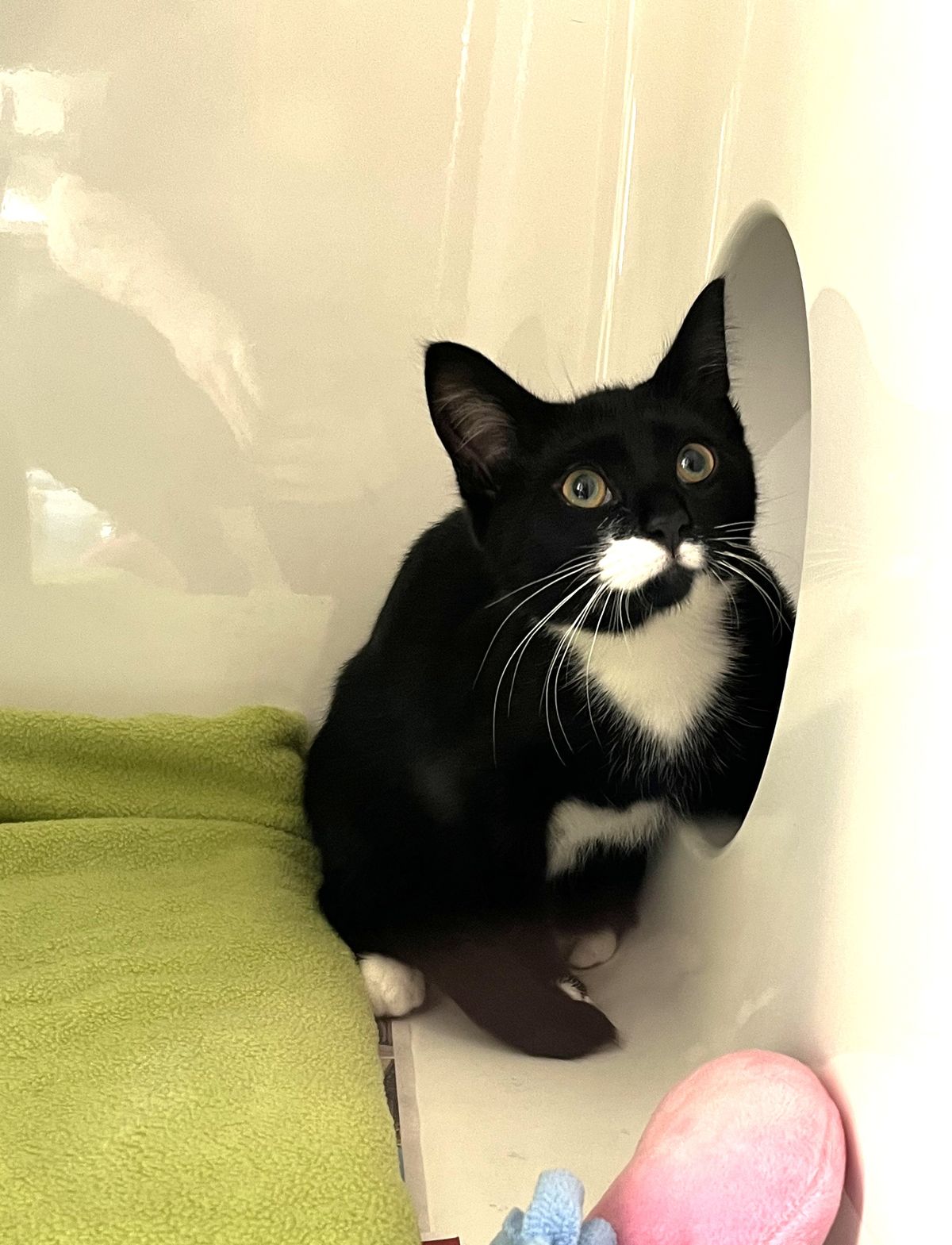 Gallery image: McNugget