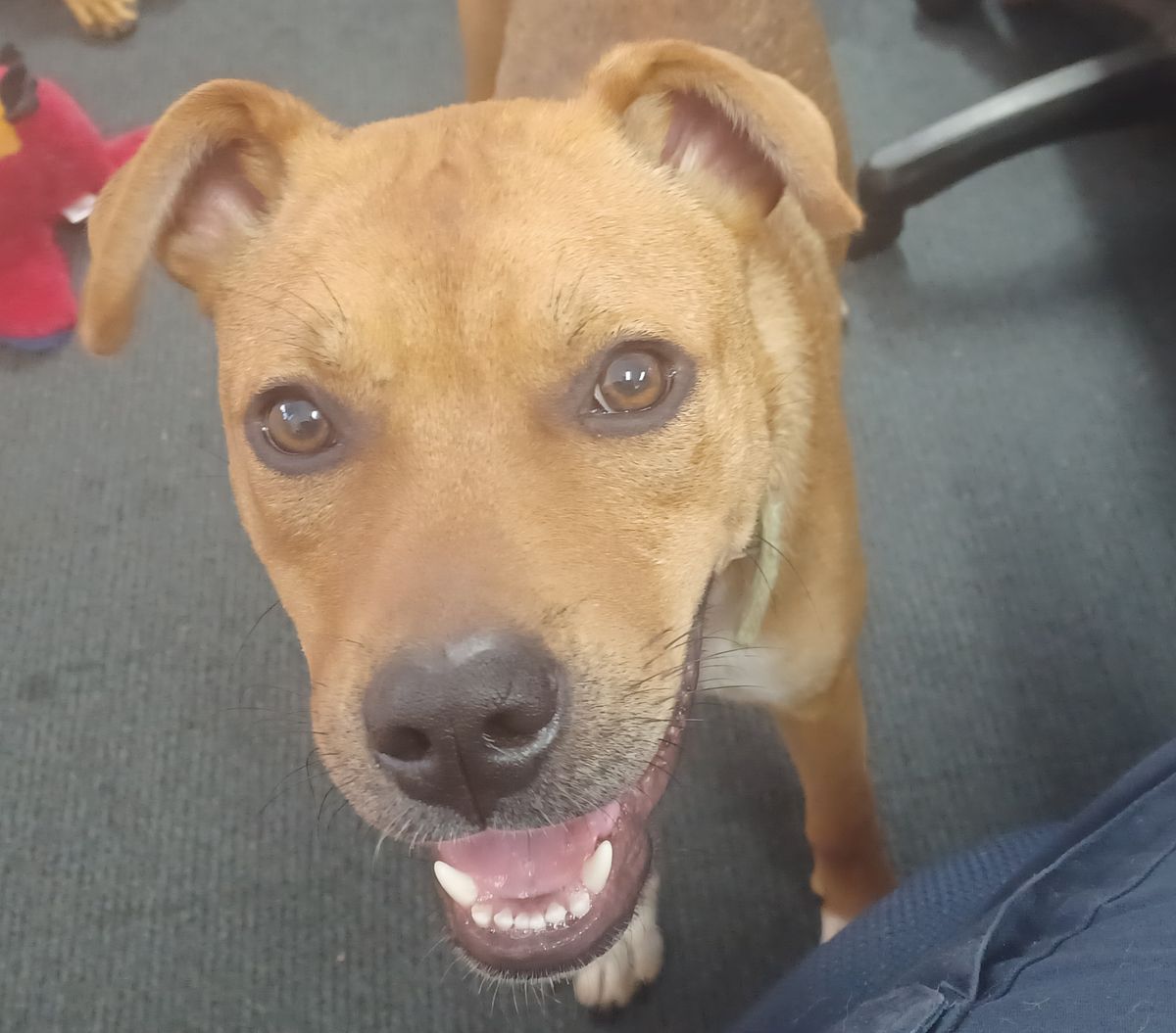 Gallery image: Freya