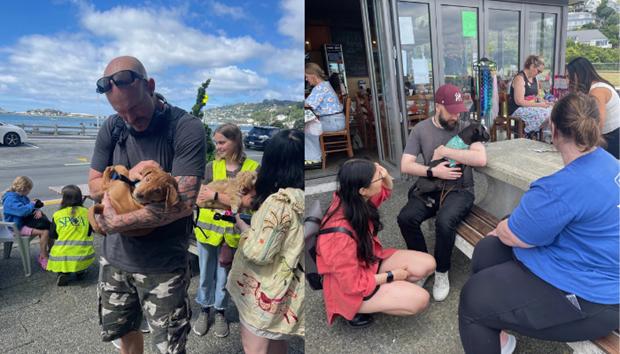 SPCA puppies being held by people by the sea