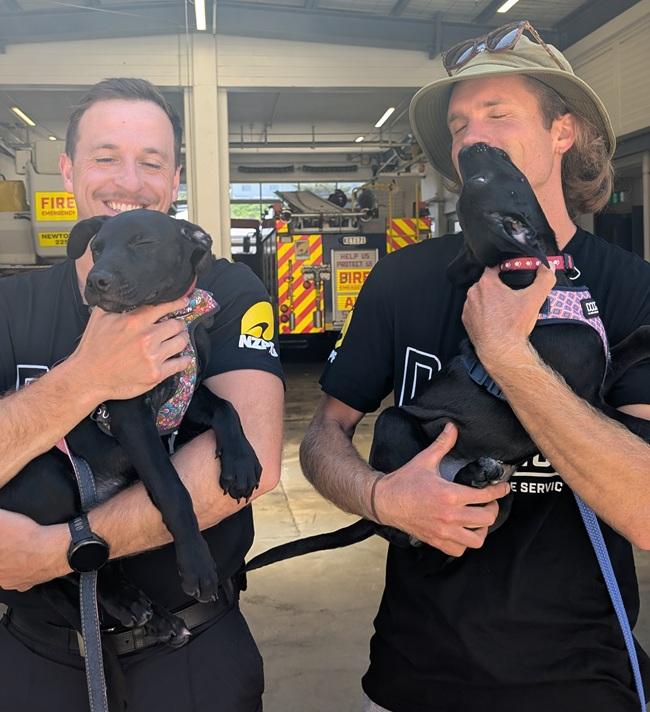 It was smiles all around as the puppies visited the Newtown Station.