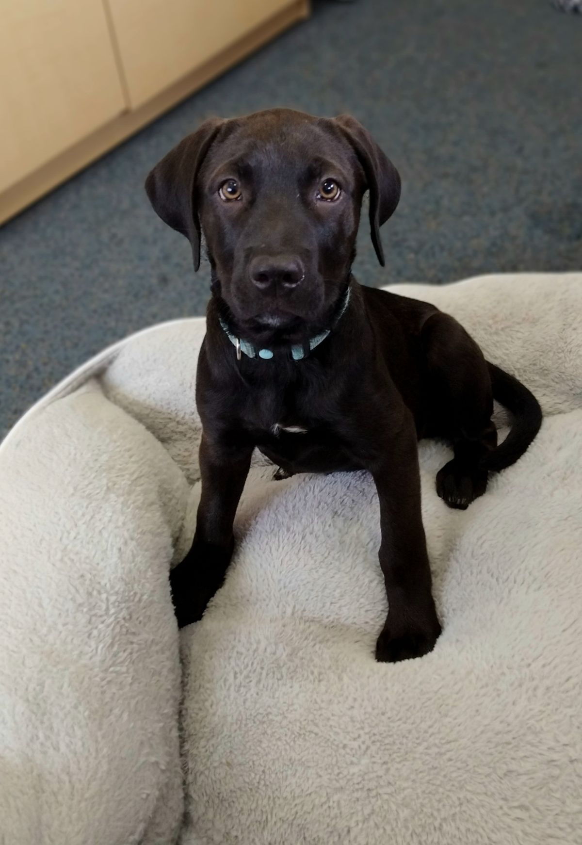 Gallery image: Violet