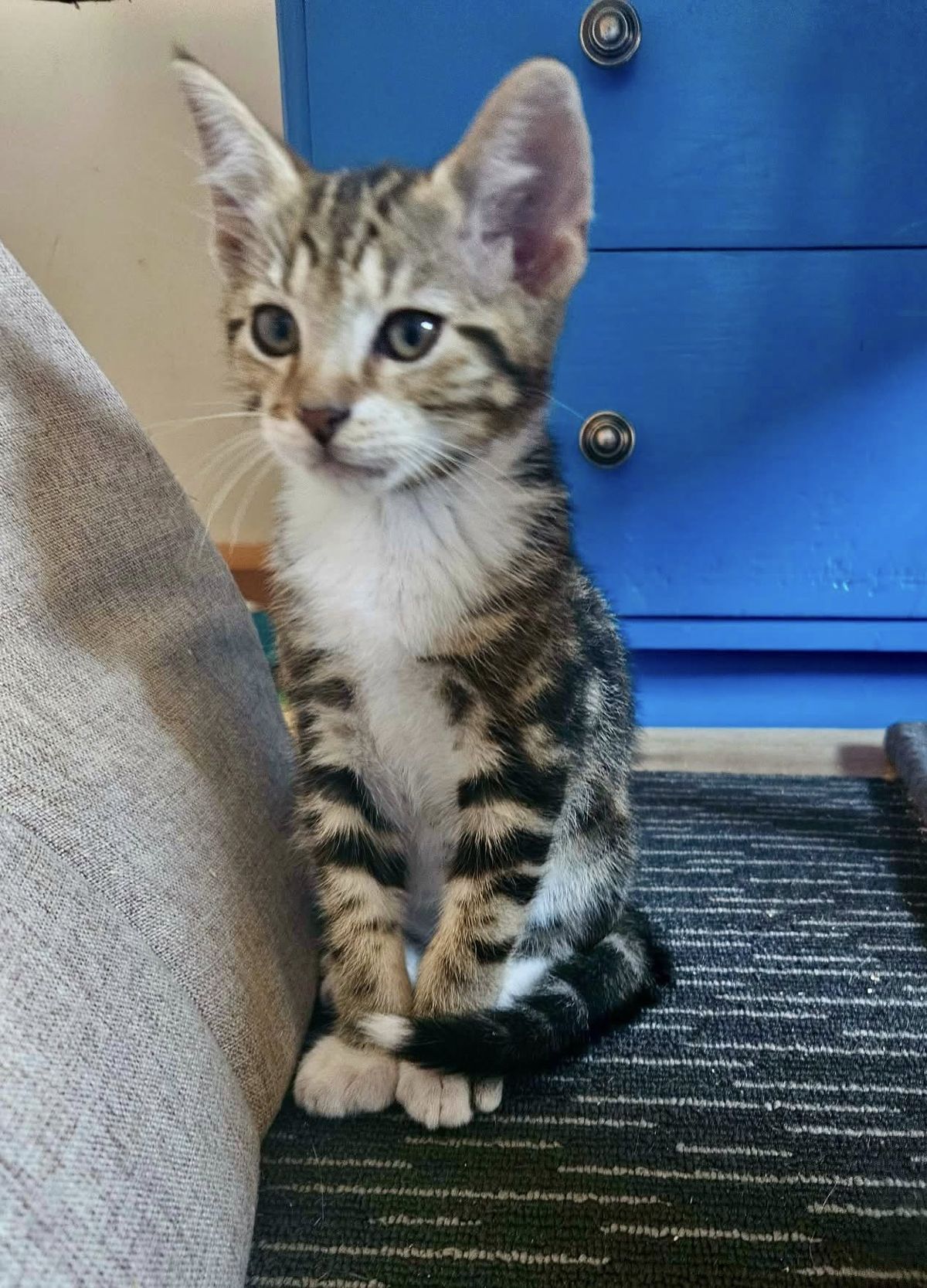 Gallery image: Vince