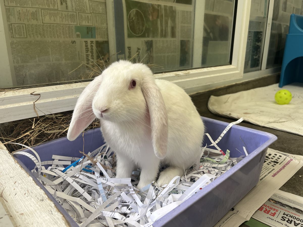 Gallery image: Nimbus