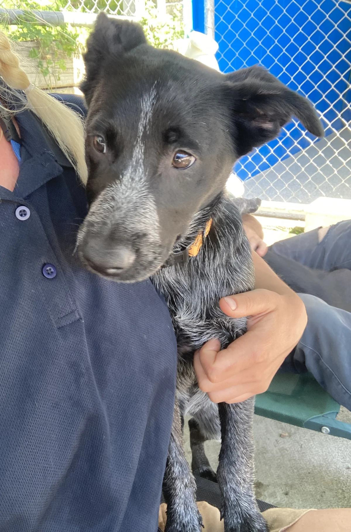 Gallery image: Noosa