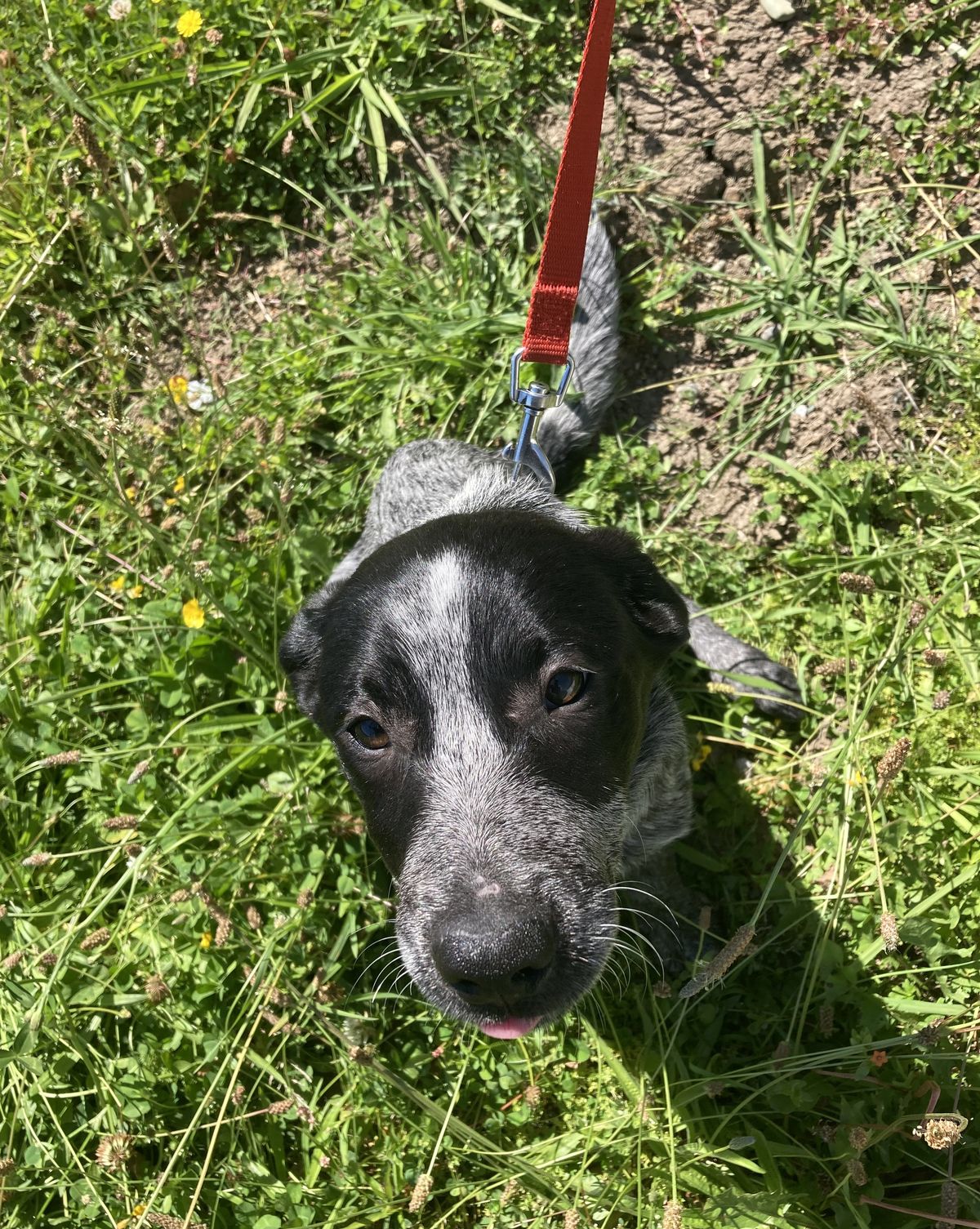 Gallery image: Noosa