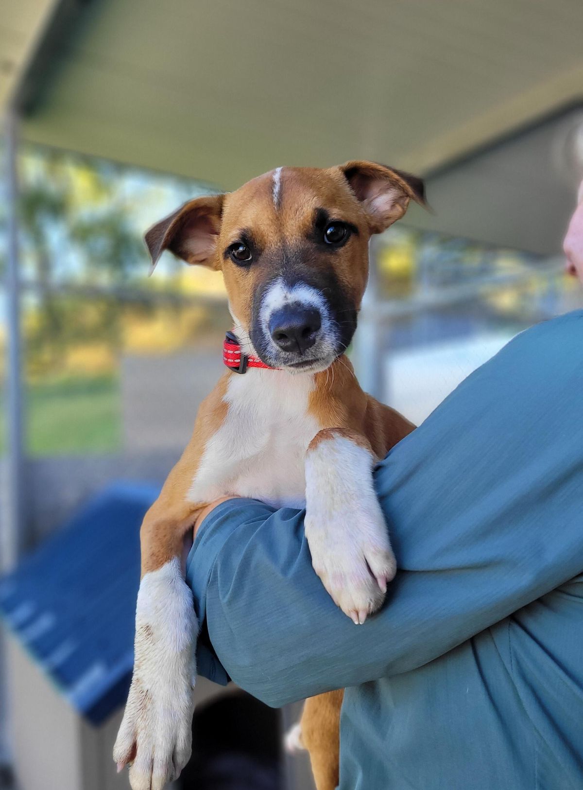 Gallery image: Branston