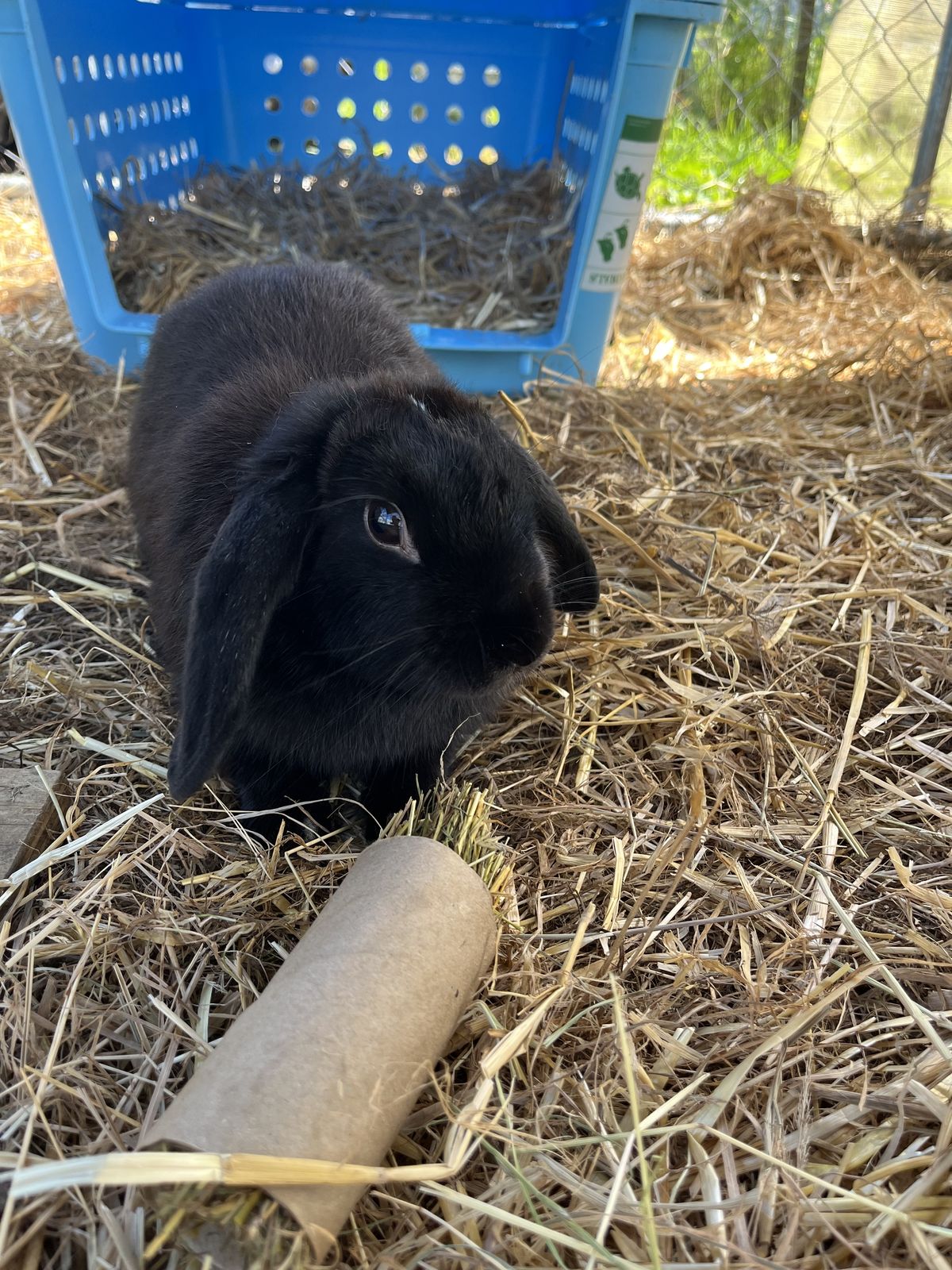 Gallery image: Truffle 