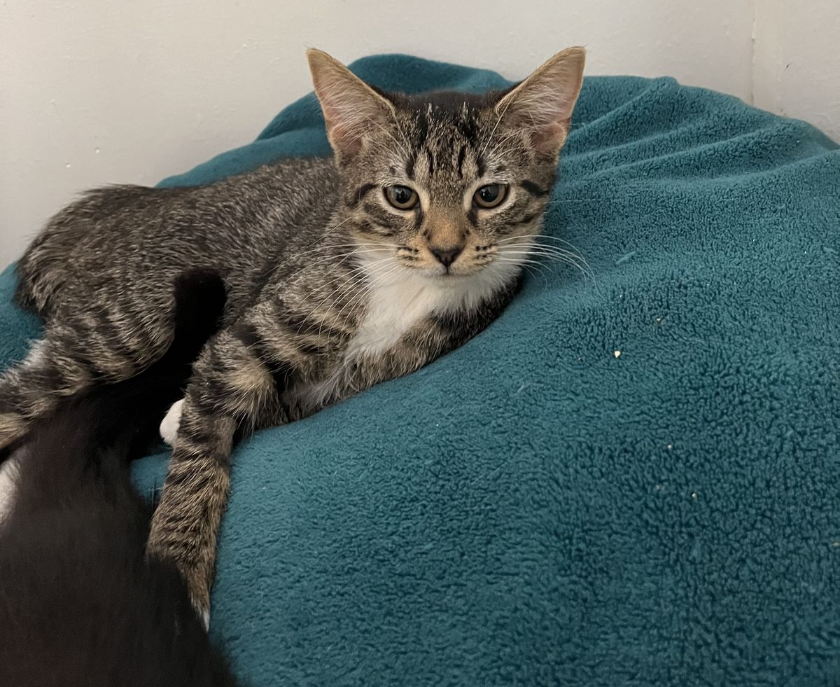 Gallery image: Camille