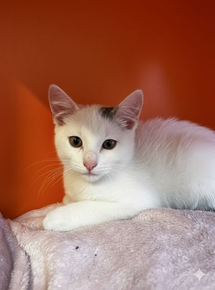 Gallery image: Breeze