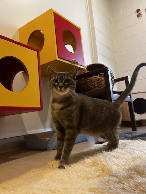 Gallery image: Lucky-Lu