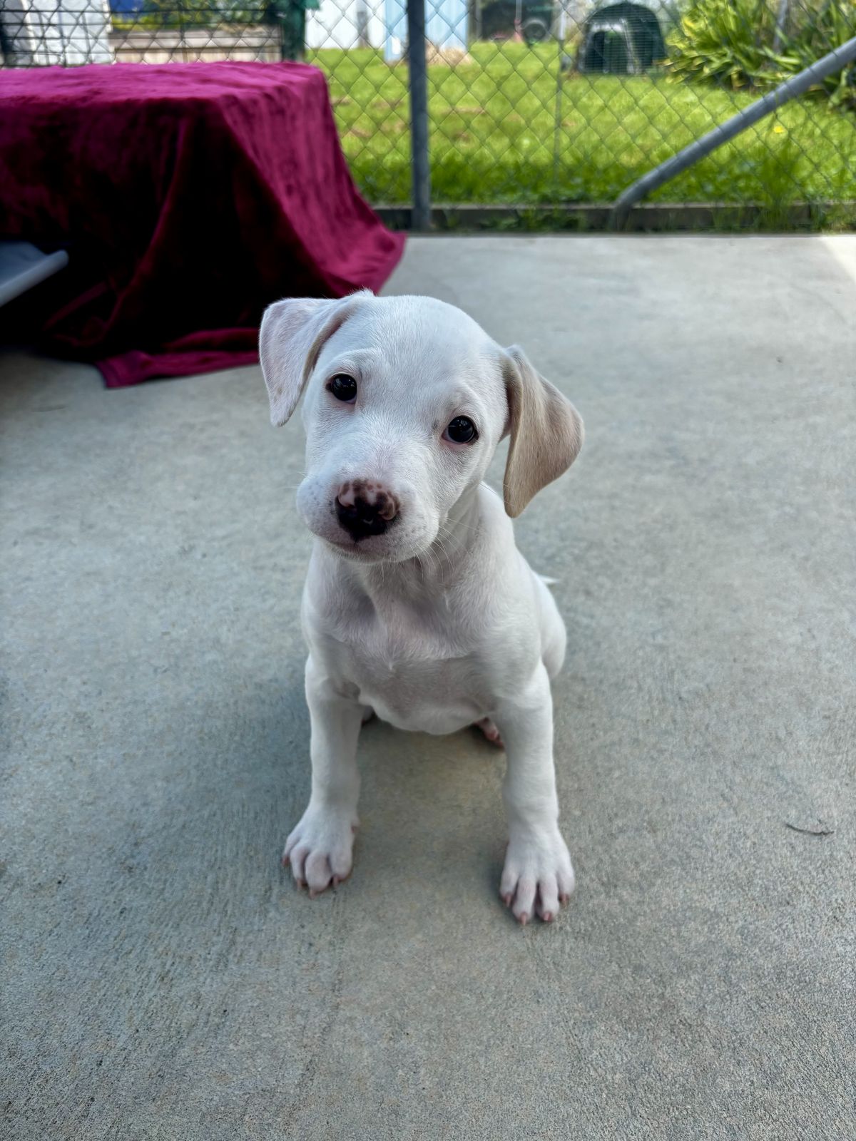 Gallery image: Aurora