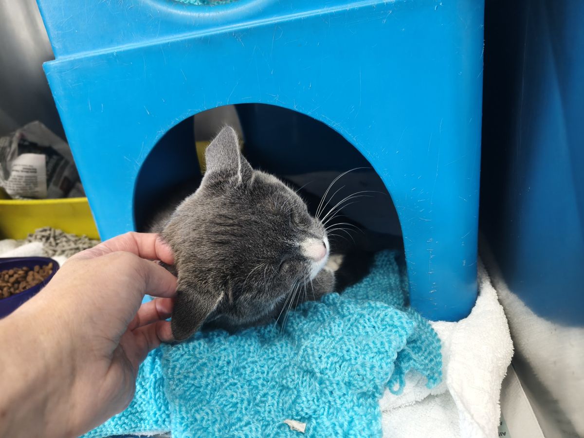 Gallery image: Sandy