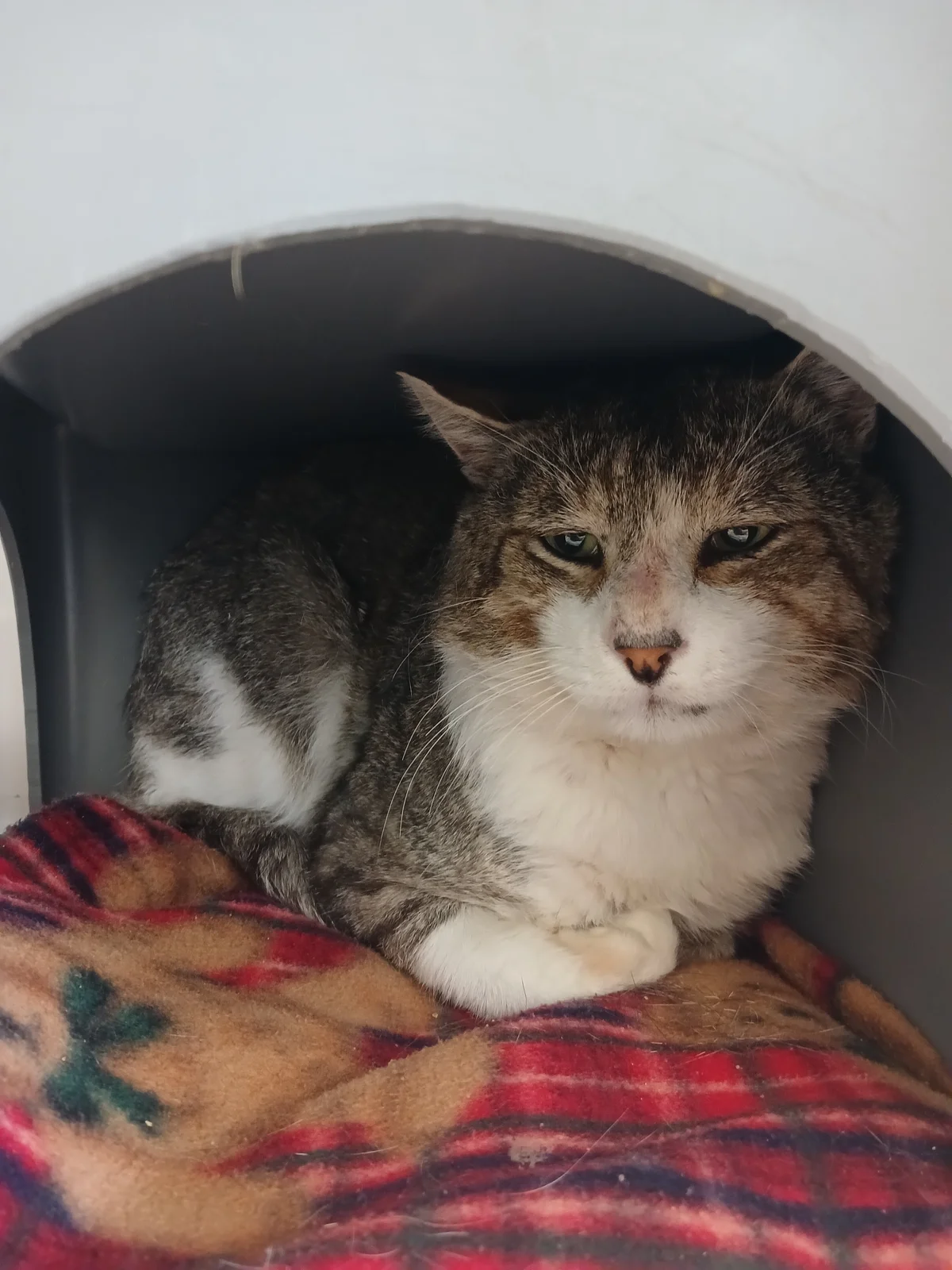 Gallery image: Foundry