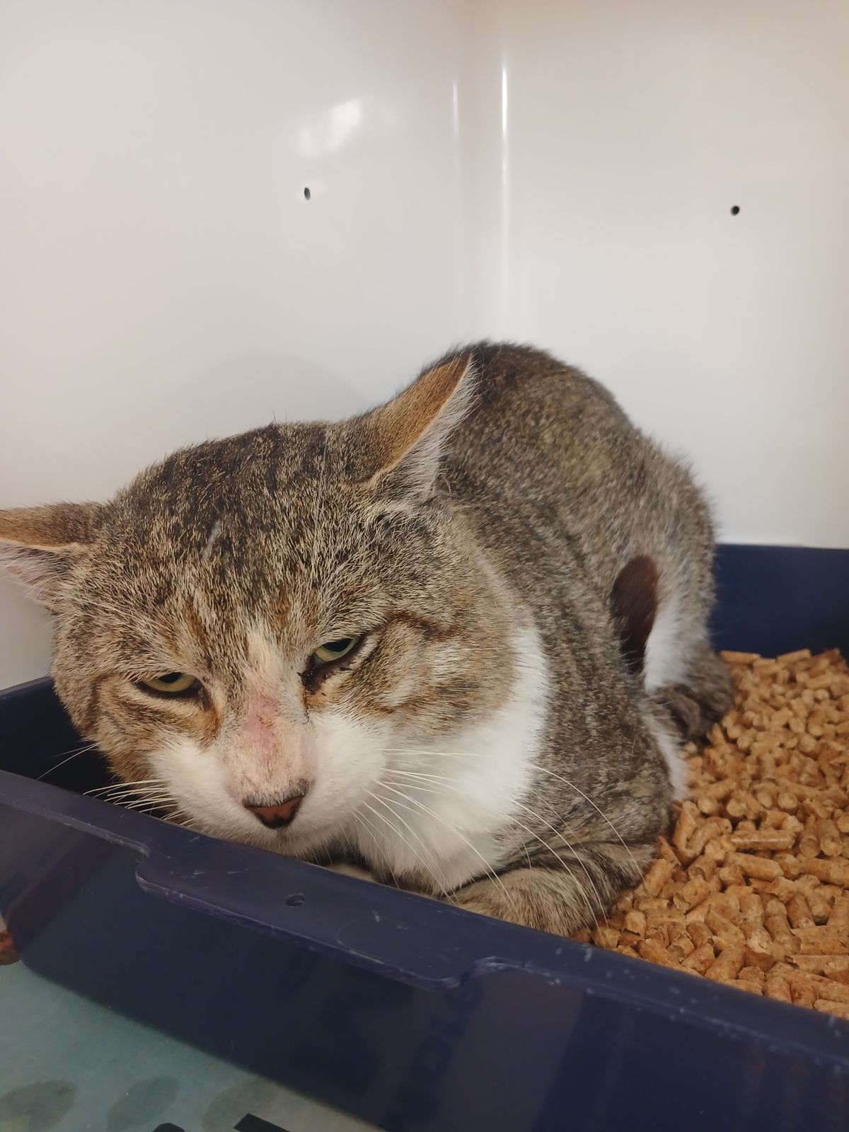 Gallery image: Foundry