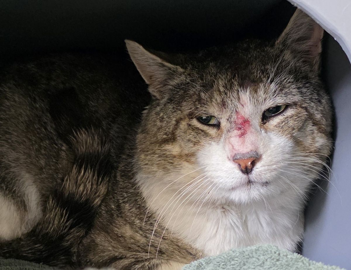 Gallery image: Foundry