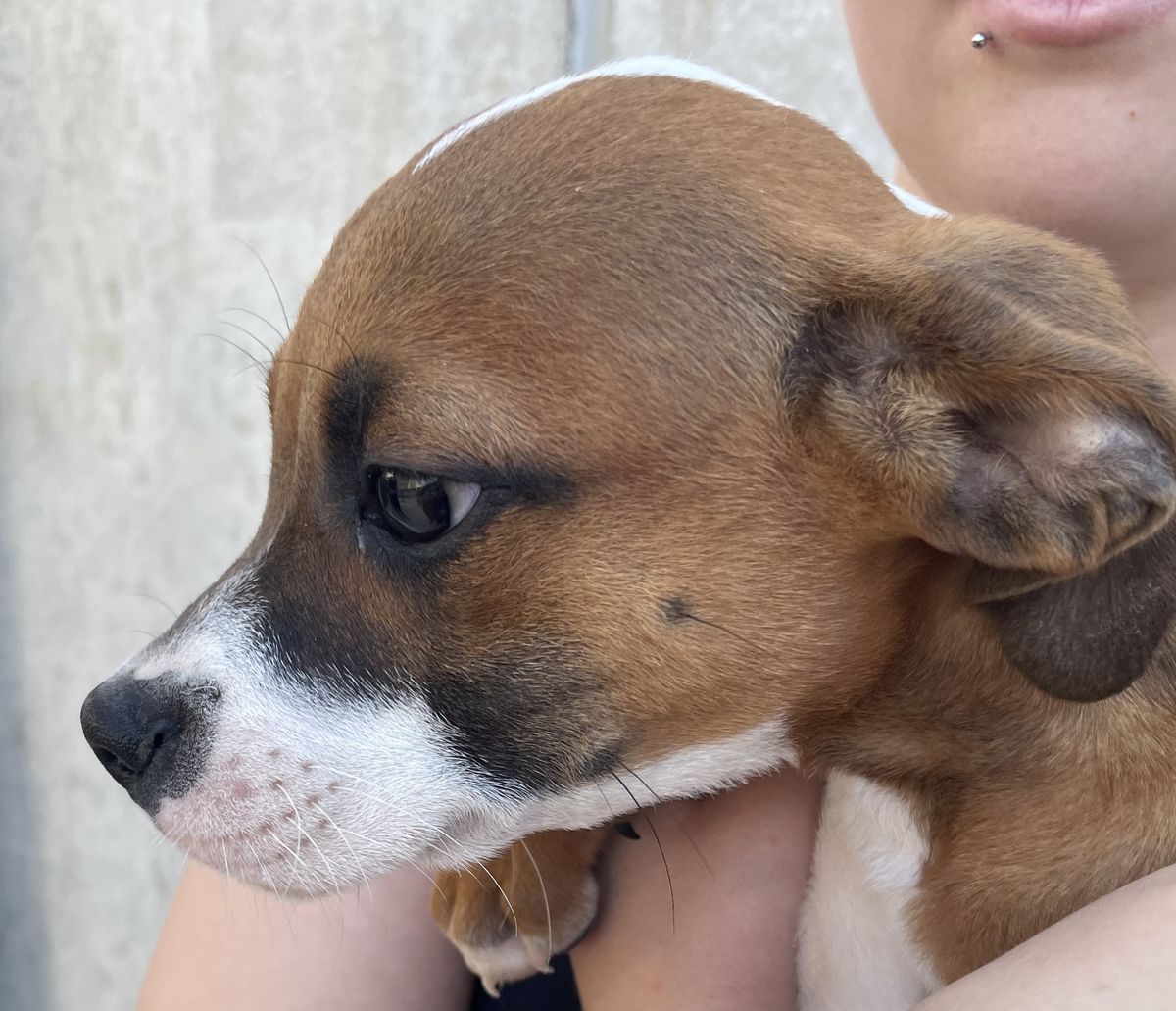 Gallery image: Hubble