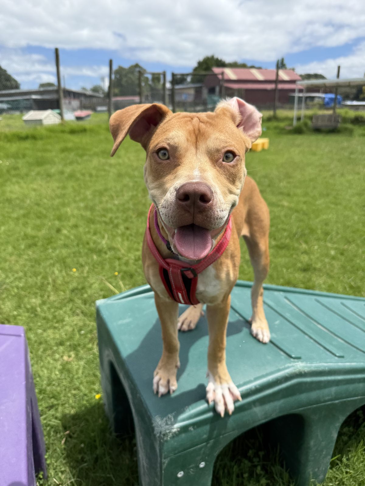 Gallery image: Thelma