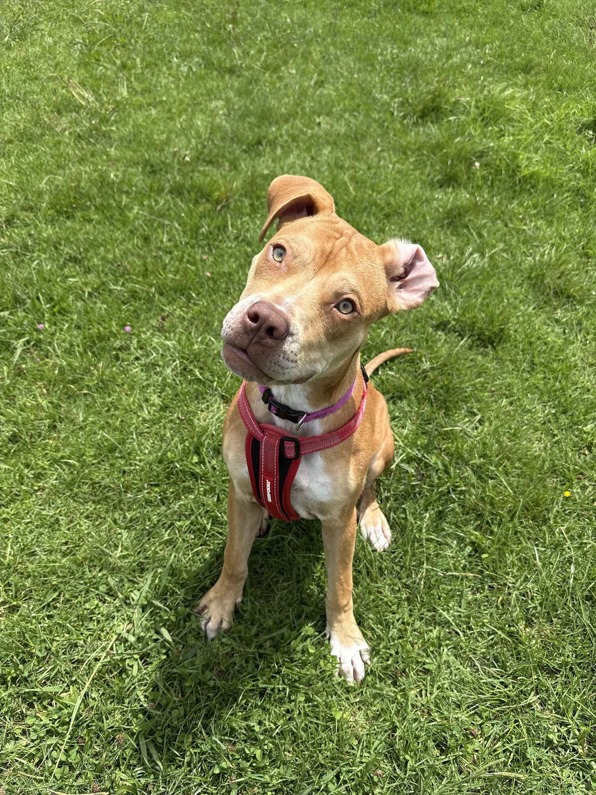 Gallery image: Thelma