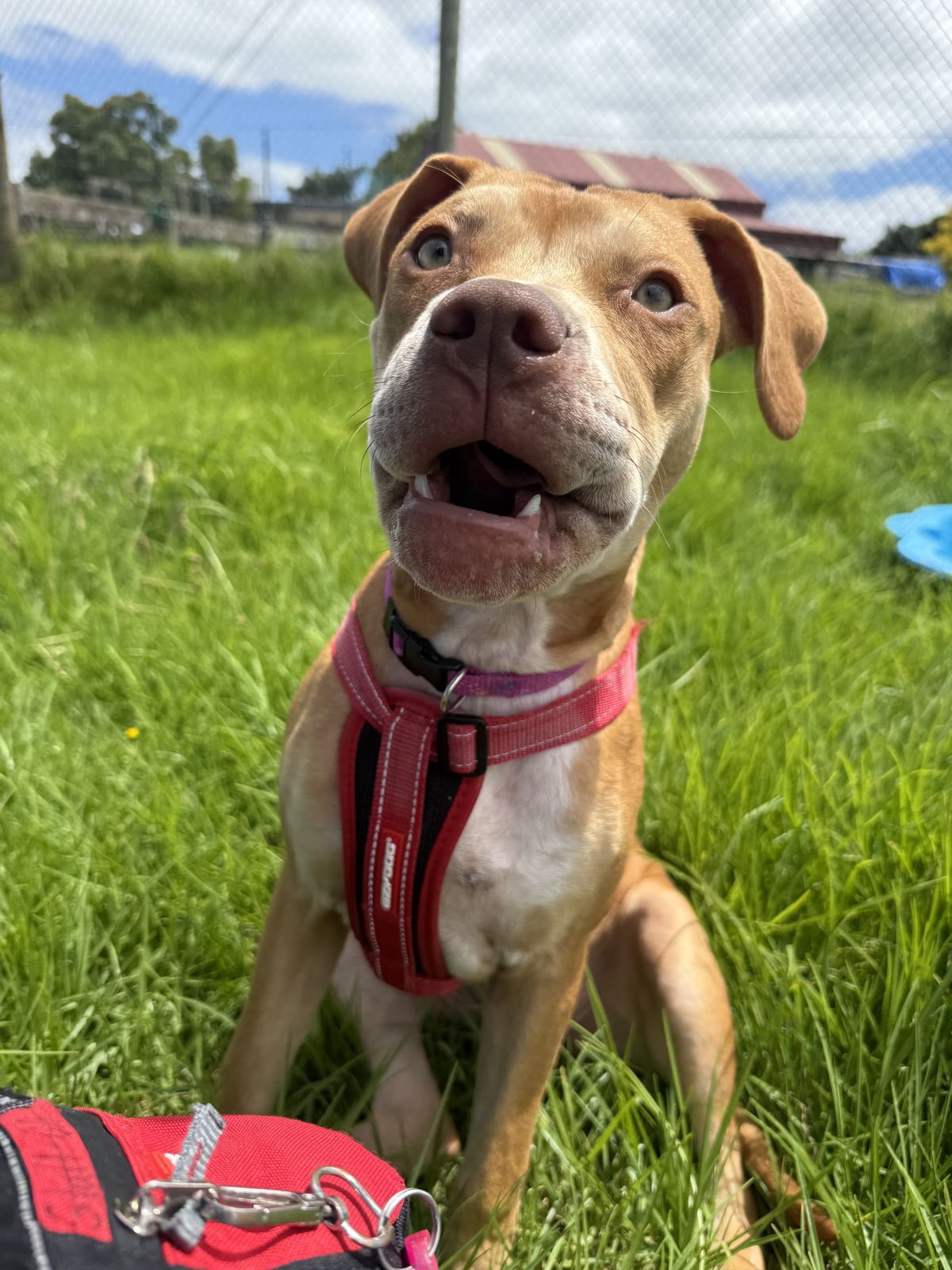 Gallery image: Thelma