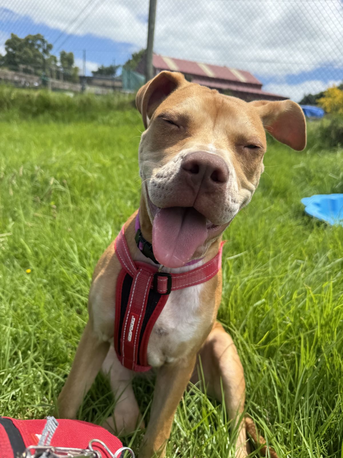 Gallery image: Thelma