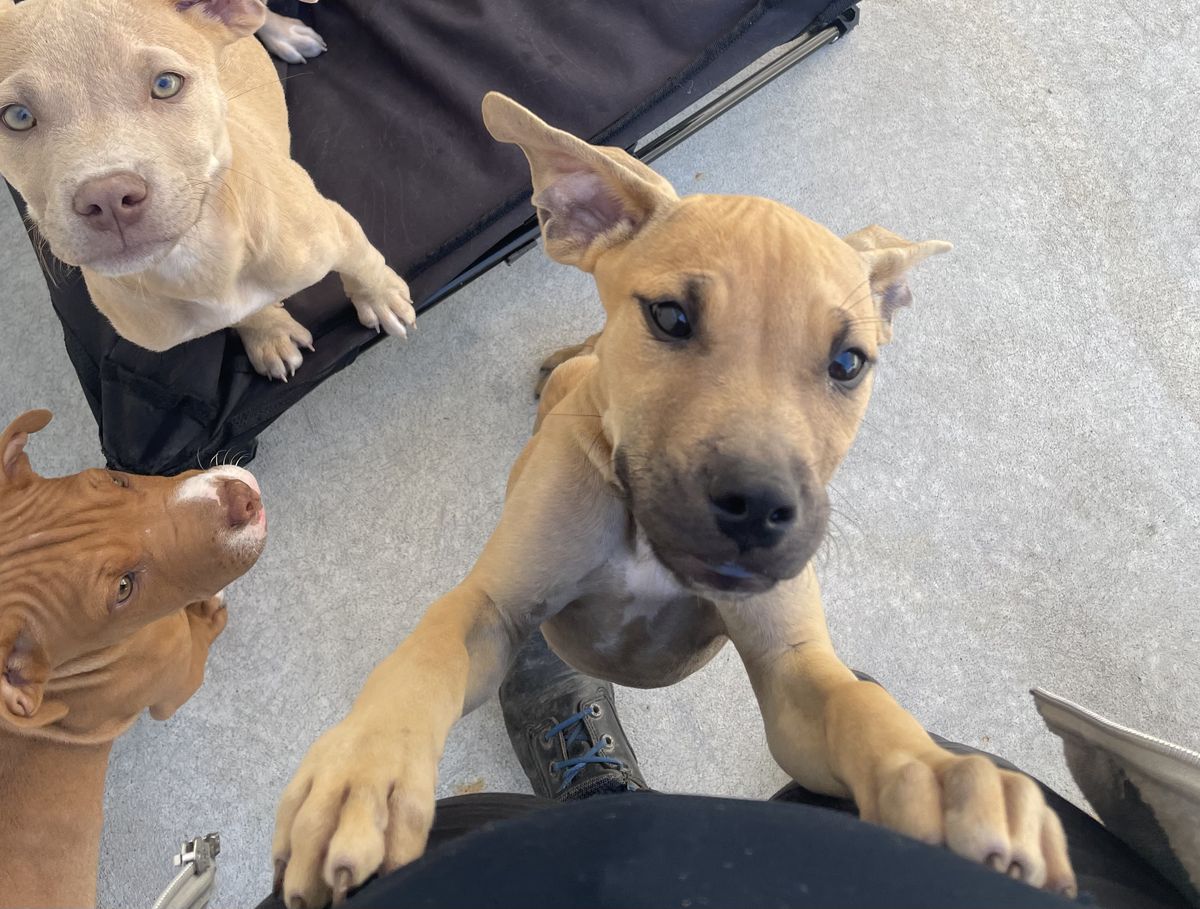 Gallery image: Newton