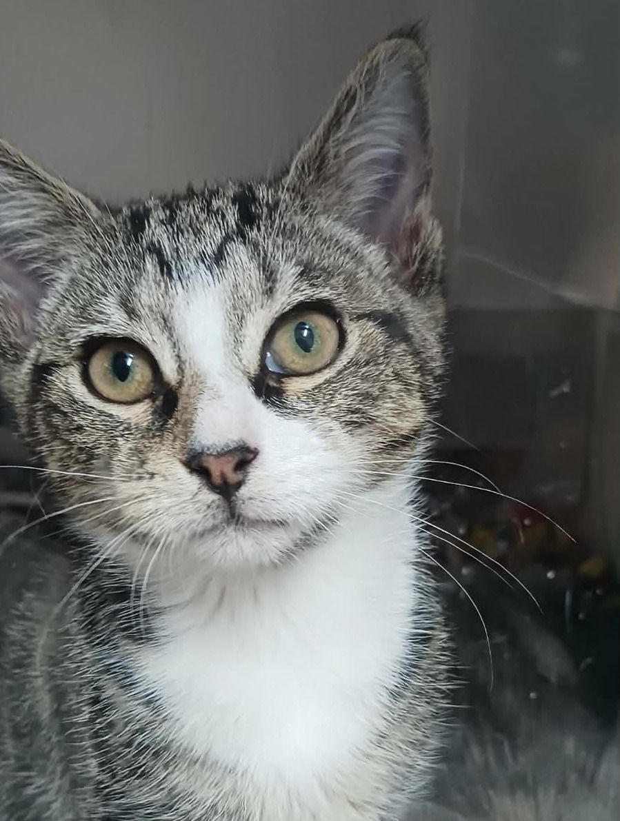 Gallery image: Candy