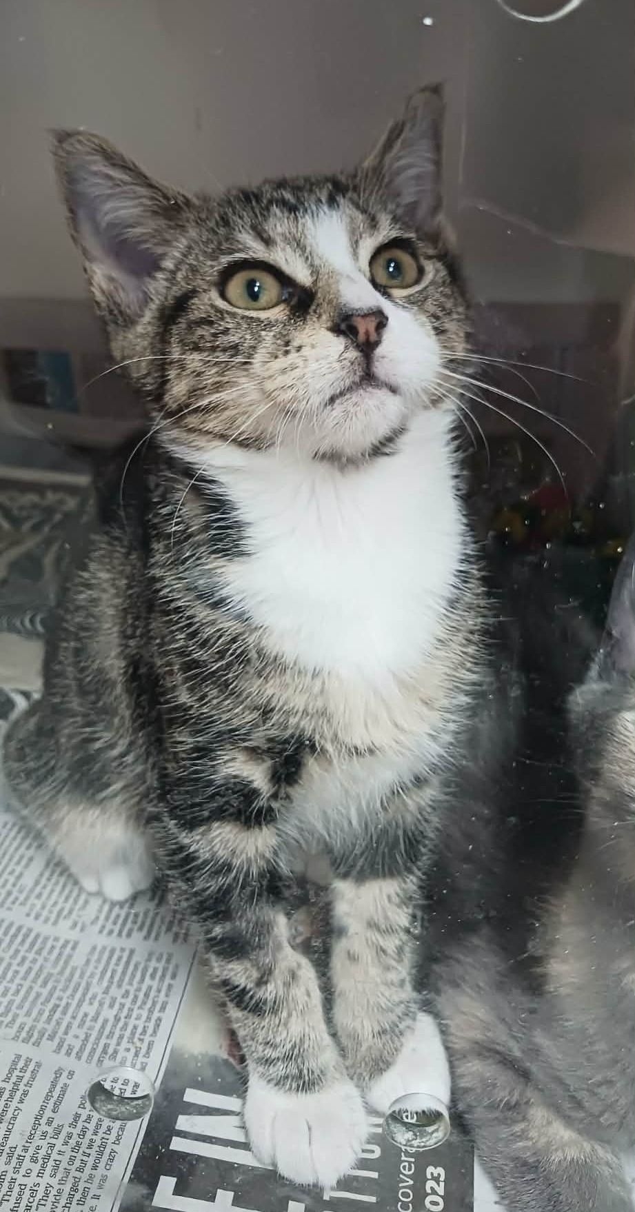 Gallery image: Candy