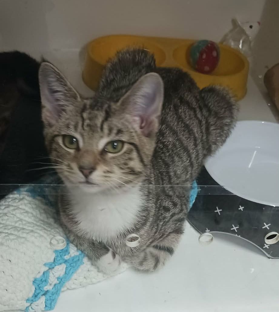 Gallery image: Clara