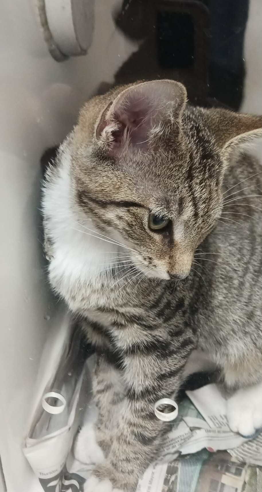 Gallery image: Clara