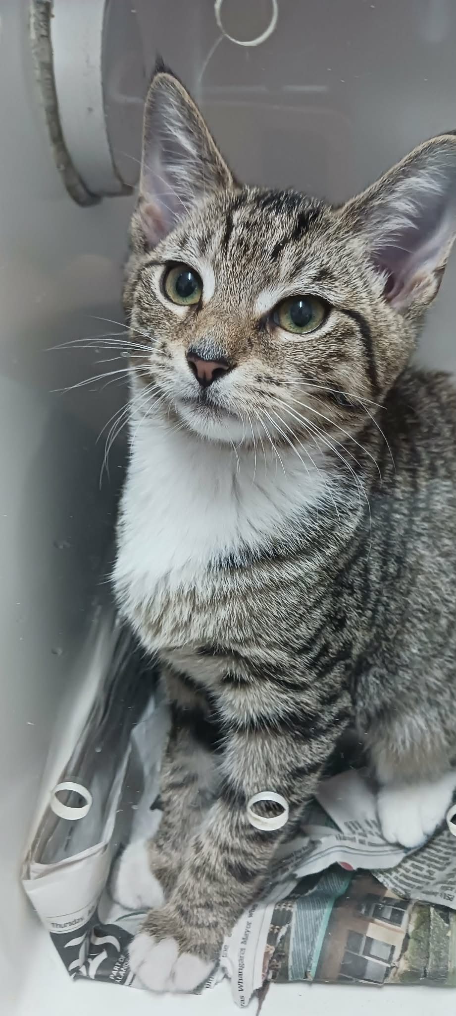 Gallery image: Clara