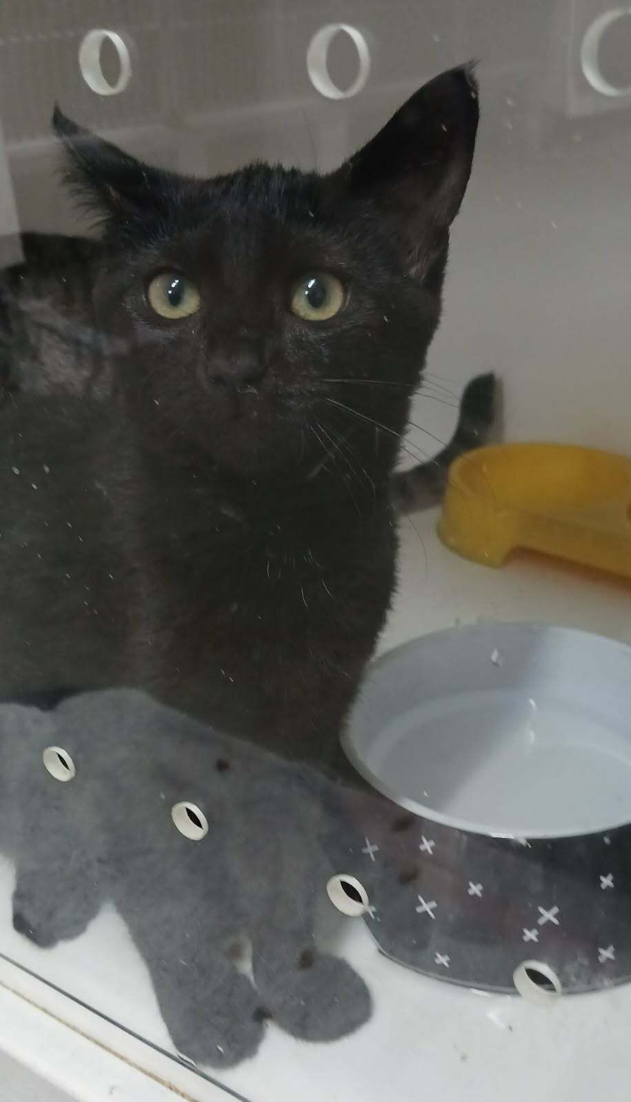 Gallery image: Fudge