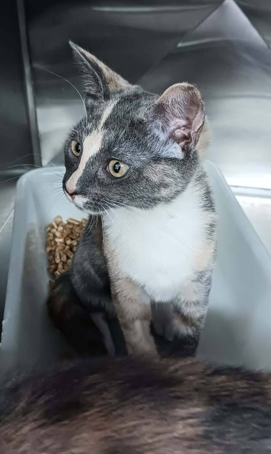 Gallery image: Tammy