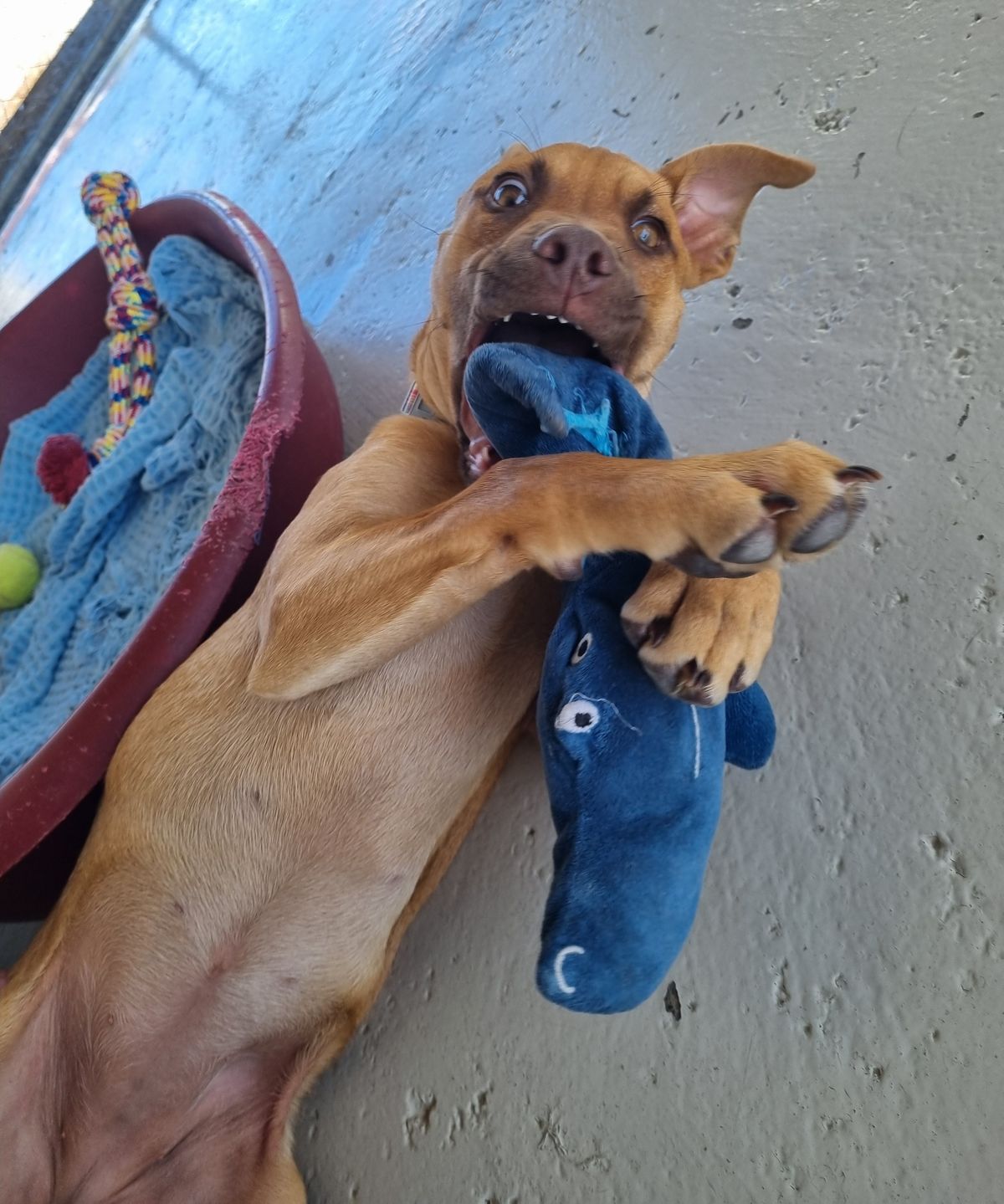 Gallery image: Doris