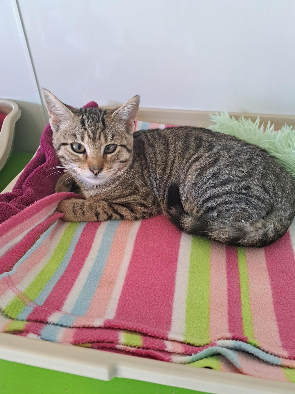 Gallery image: Ethan