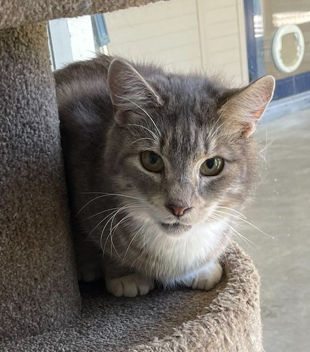 Gallery image: Cheeky