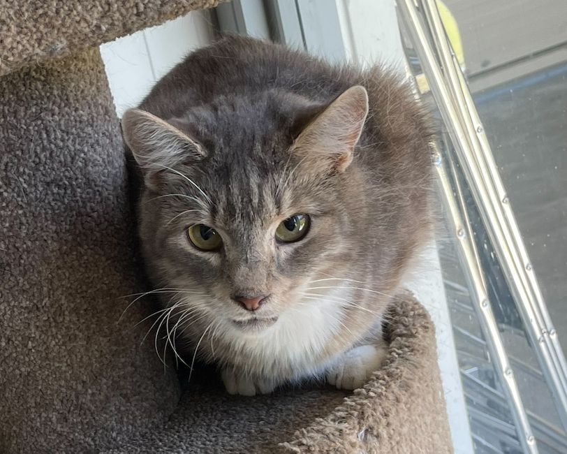 Gallery image: Cheeky