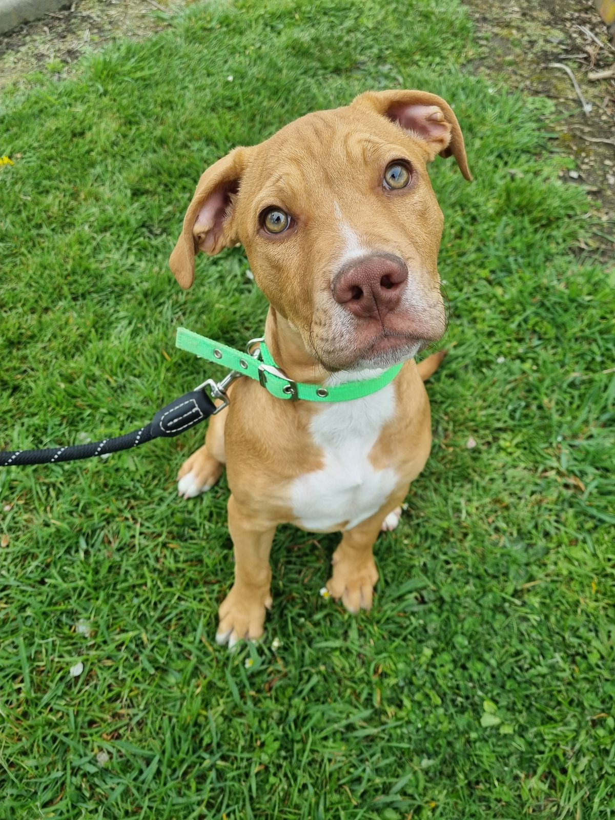 Gallery image: Wilson