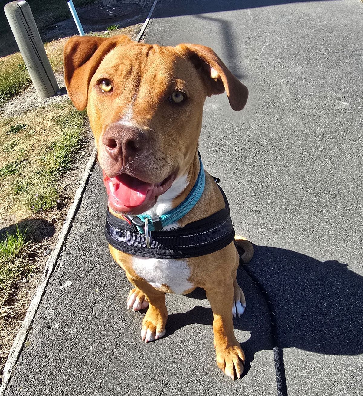 Gallery image: Wilson