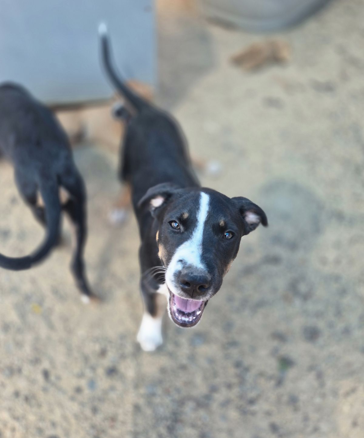 Gallery image: Ketch