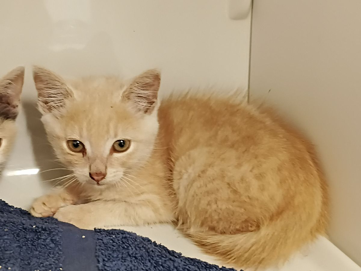 Gallery image: Billy