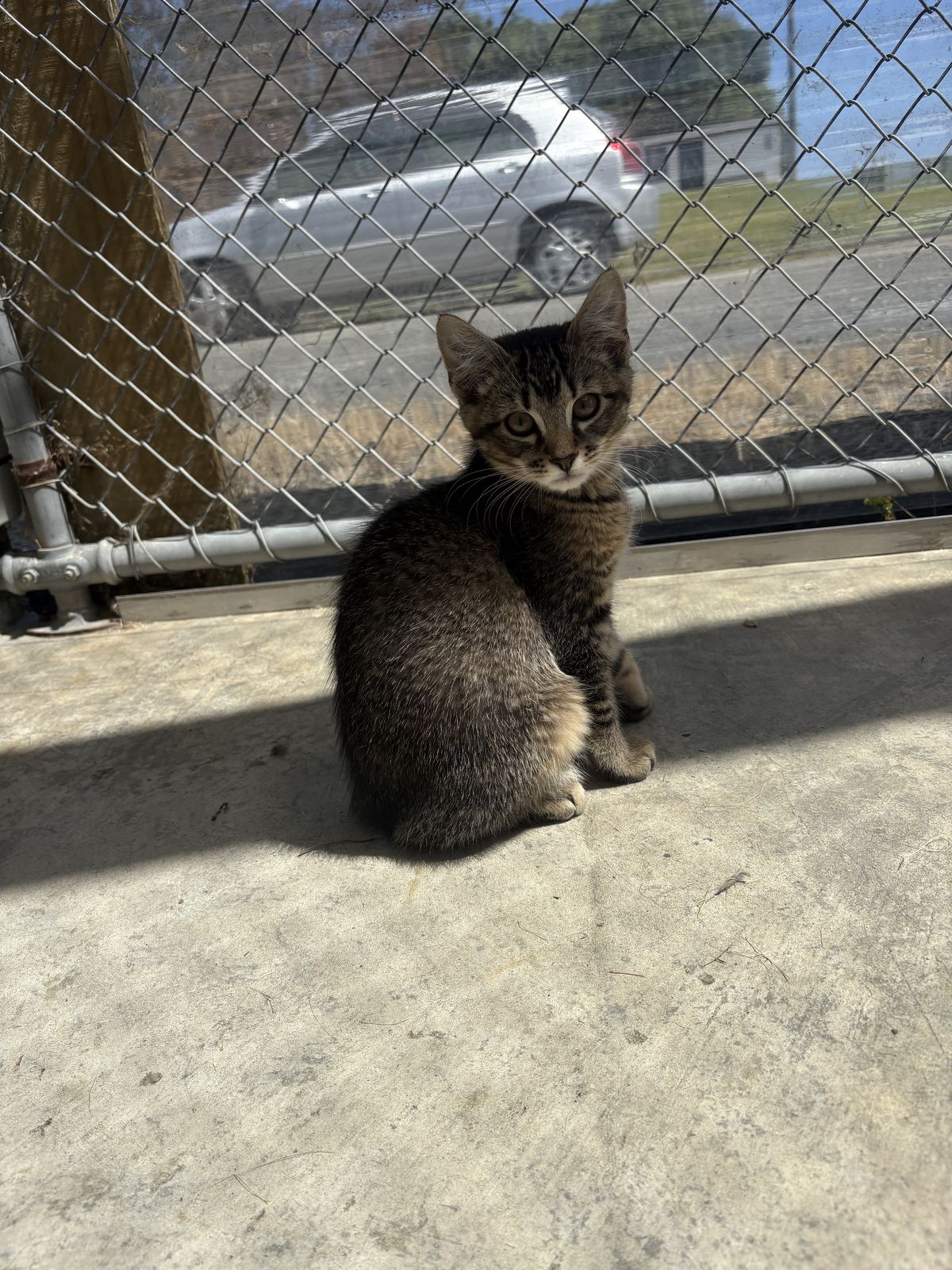 Gallery image: Theodore