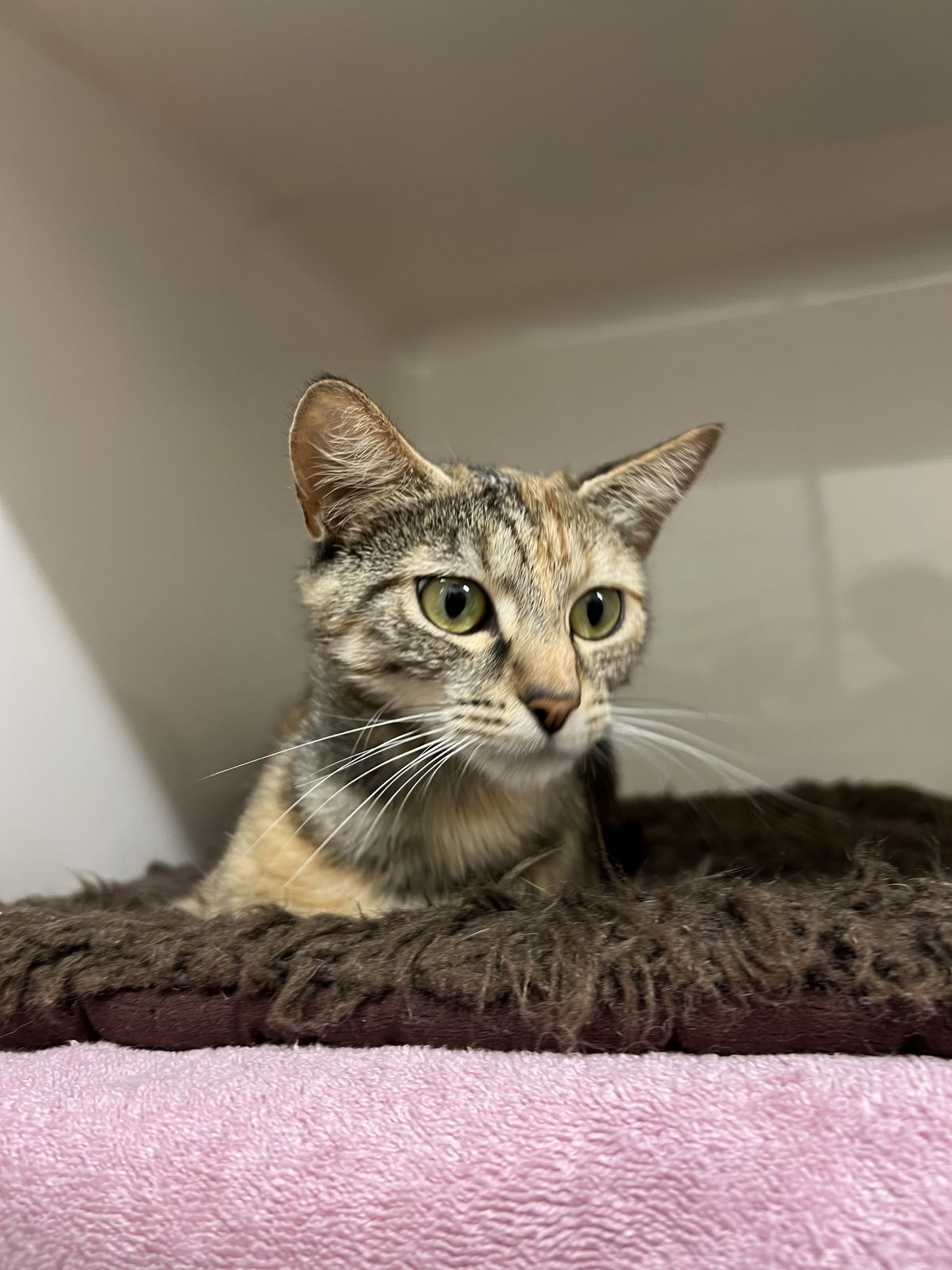 Gallery image: April