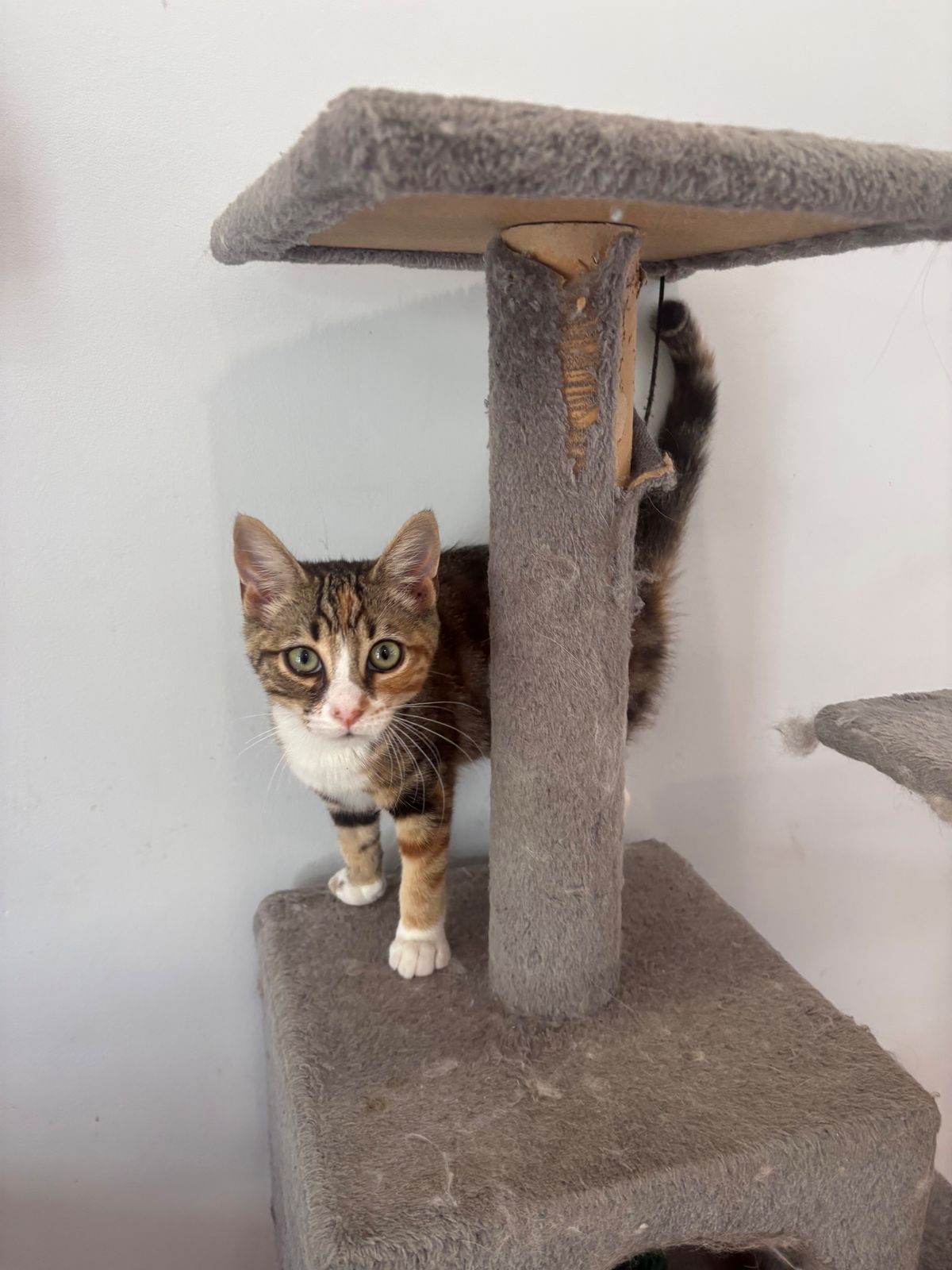 Gallery image: Dora Winifred