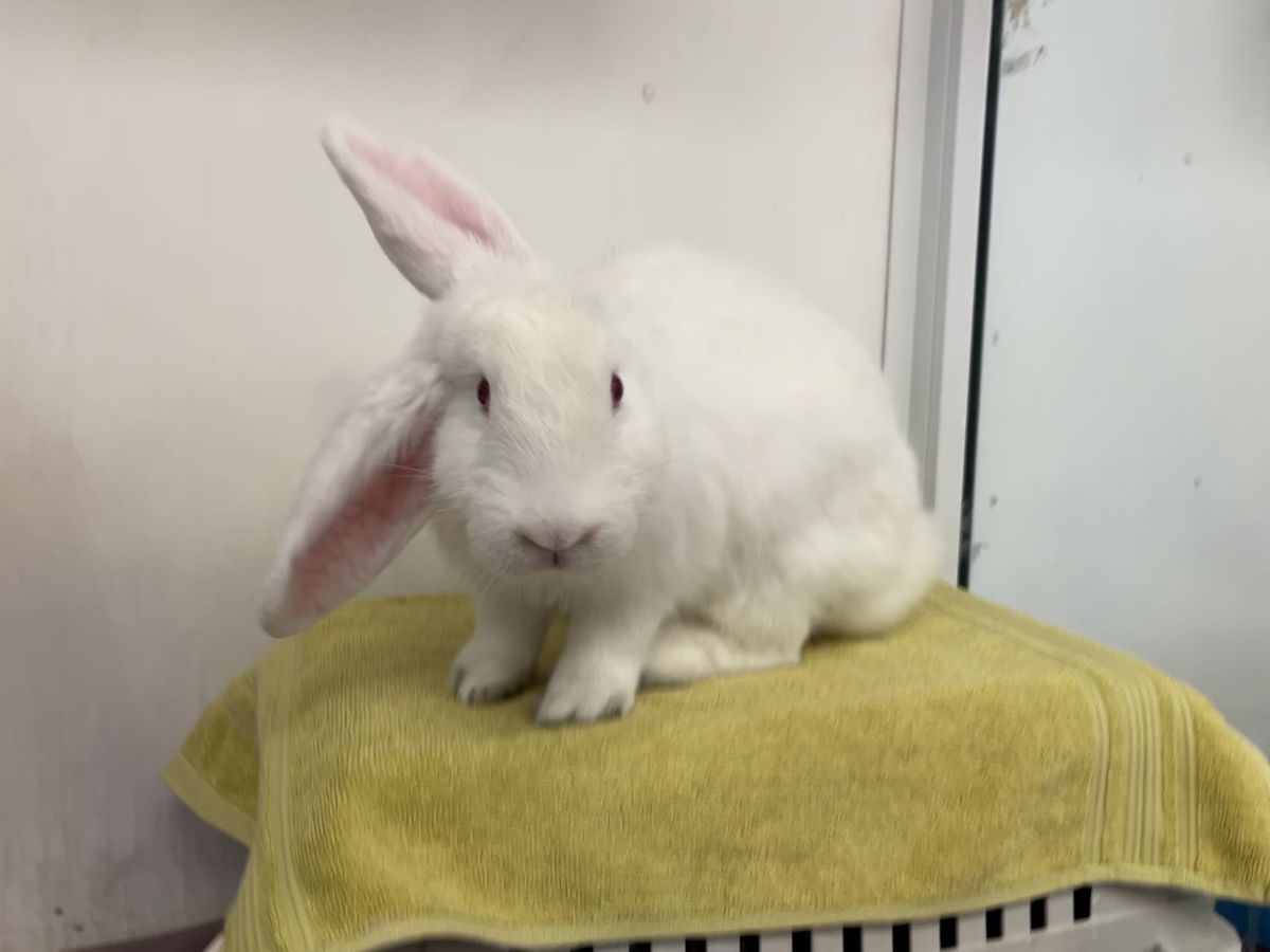 Gallery image: Fjord