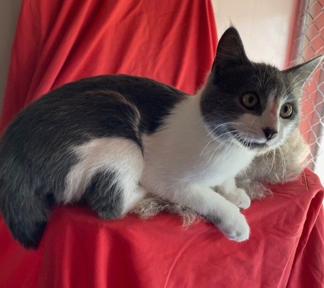 Gallery image: Vinnie 